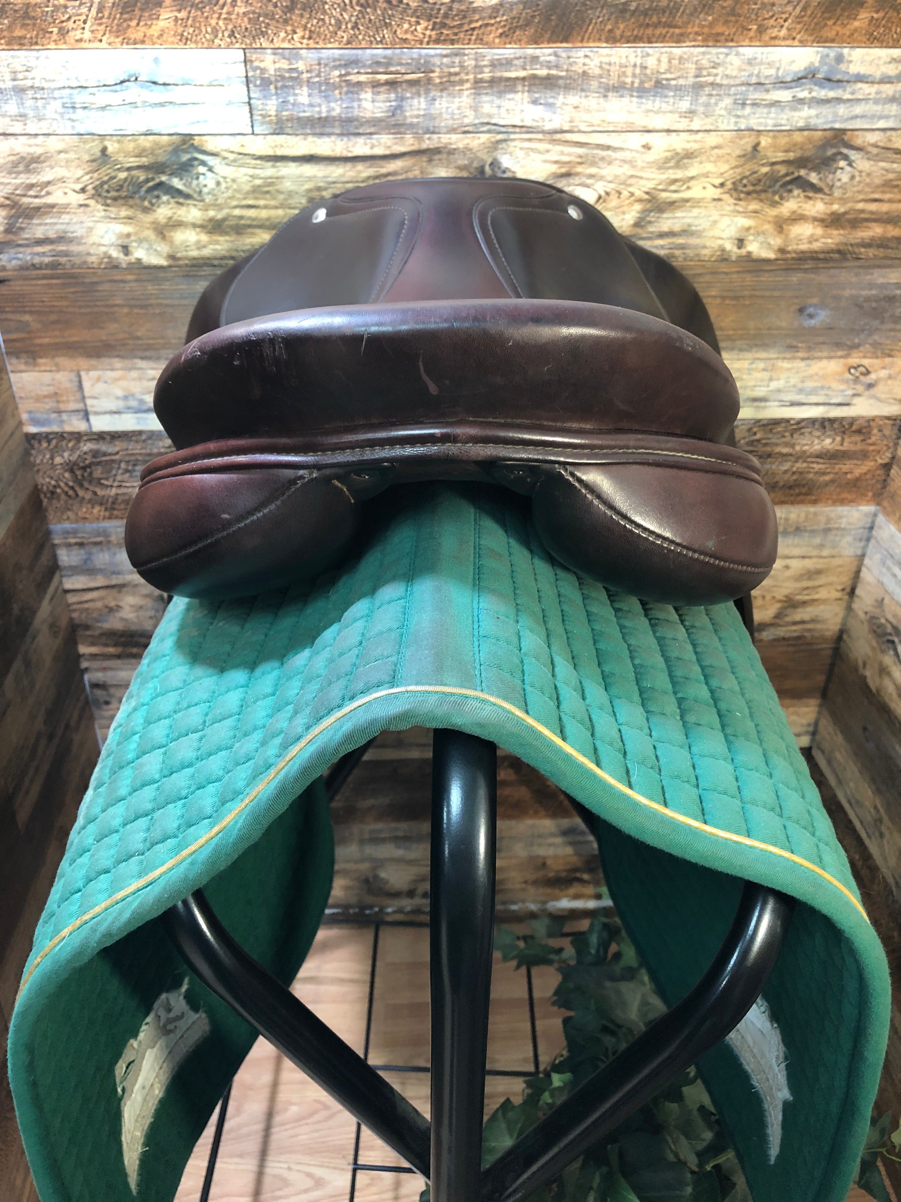 17" Schleese Jete Jump Saddle