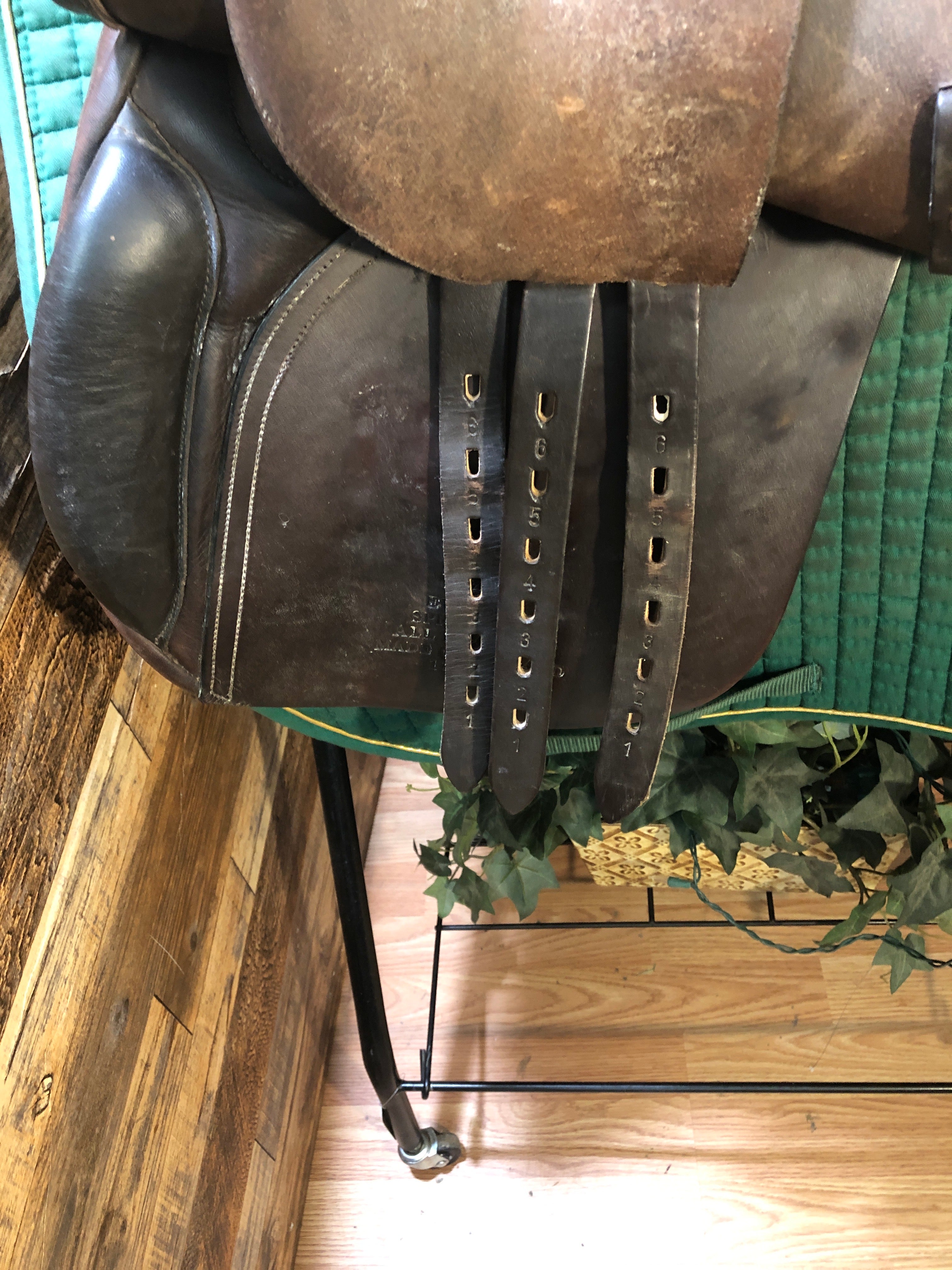 17.5" County Eventer - Spring Tree