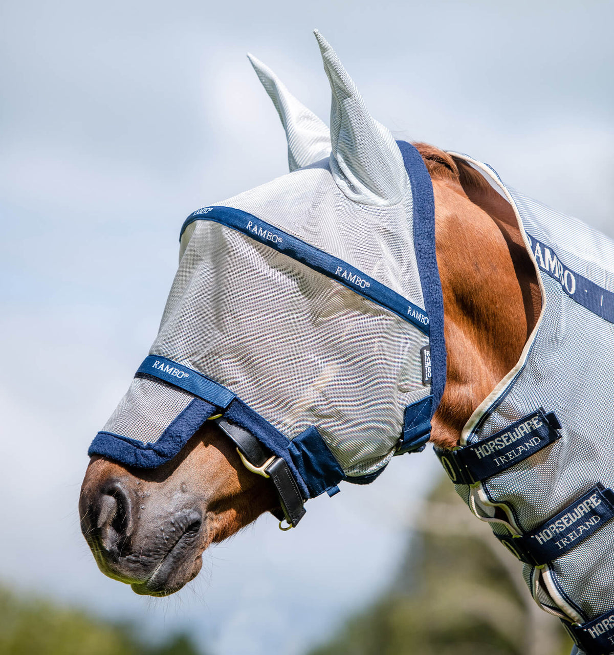 Rambo FlyMask