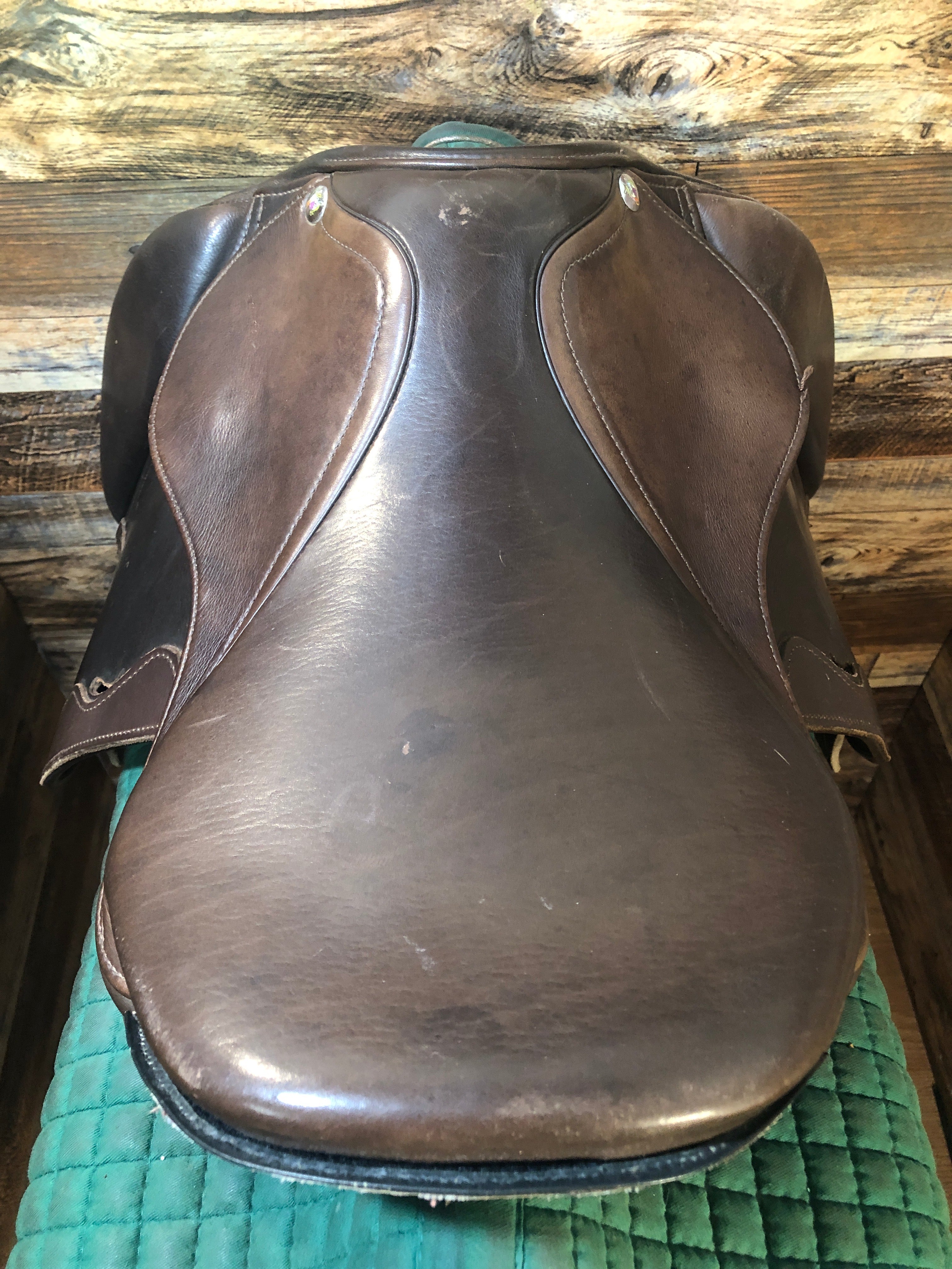 14.5" Ruby Roo Saddle