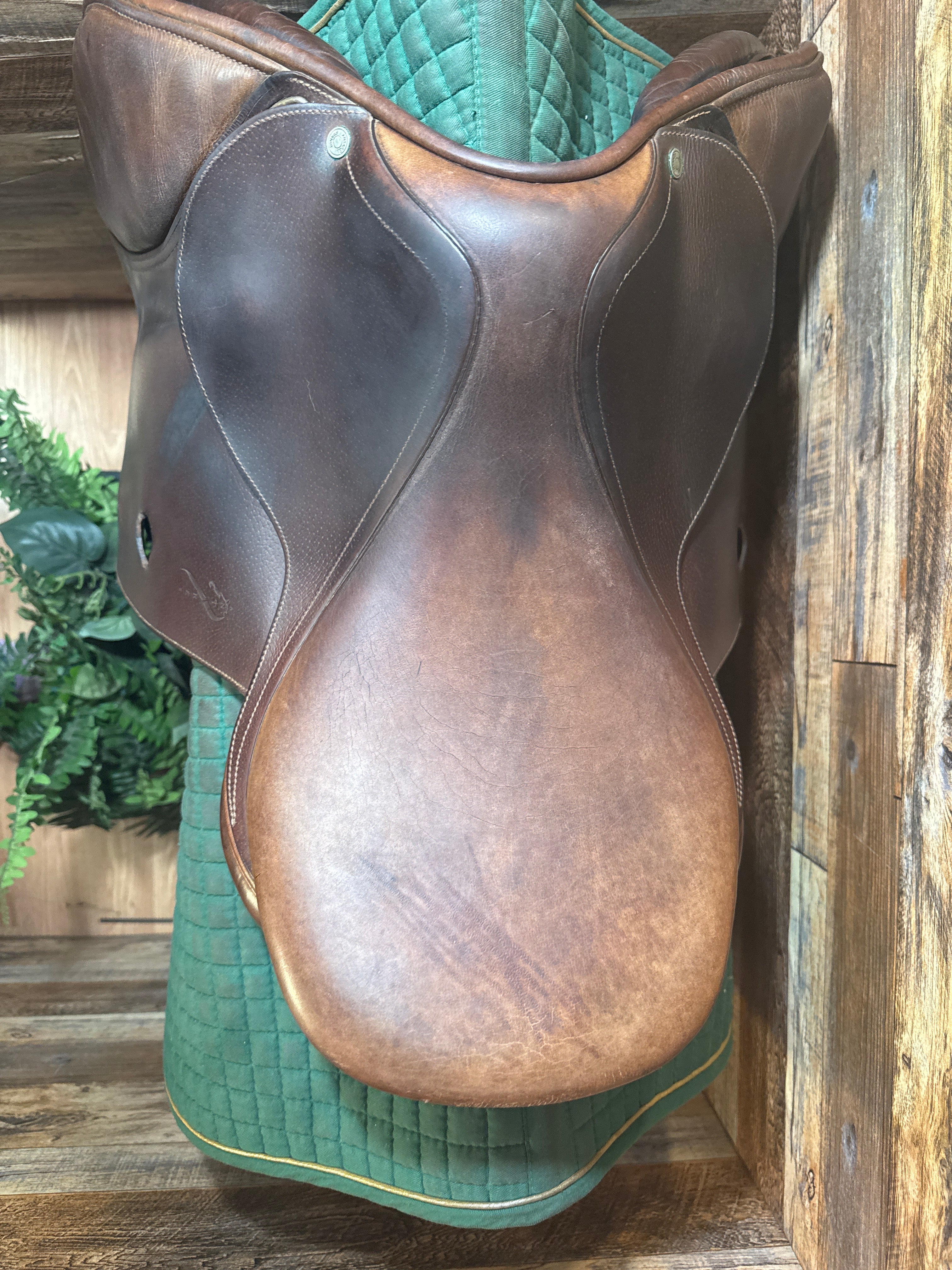 16.5" Antares CC Saddle