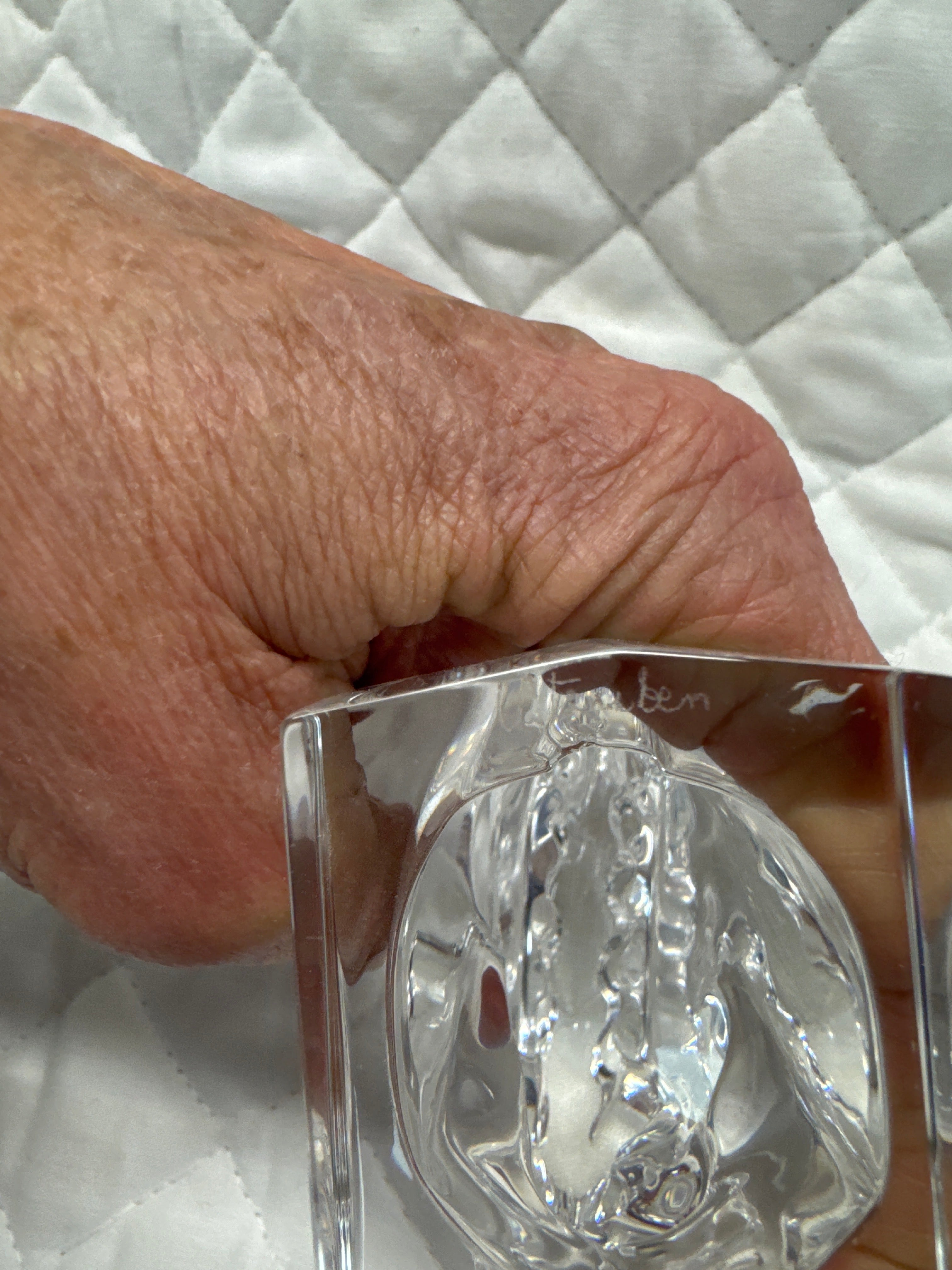 Stuben Glass Horse Head
