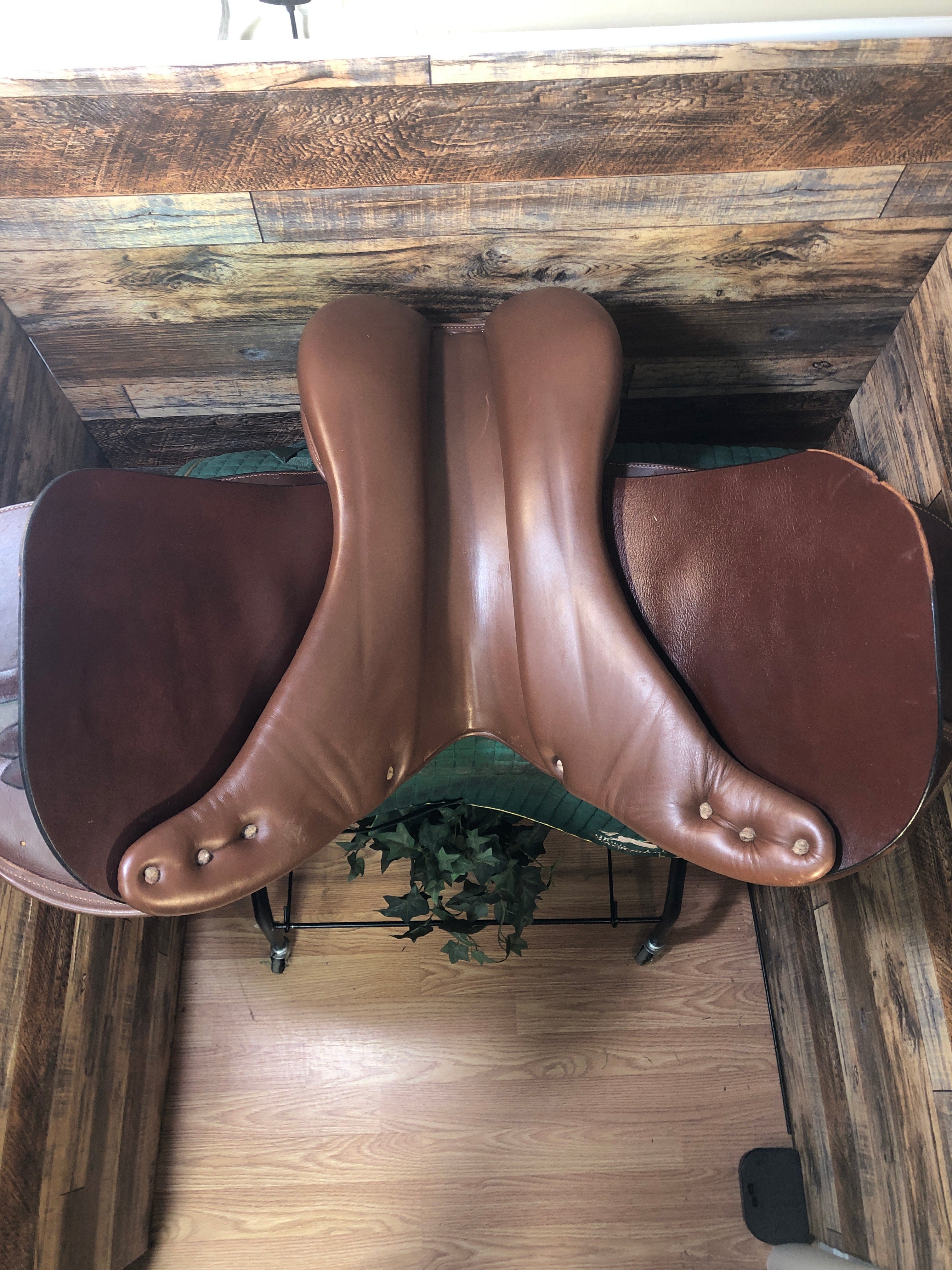 16.5" Collegiate Close Contact Saddle