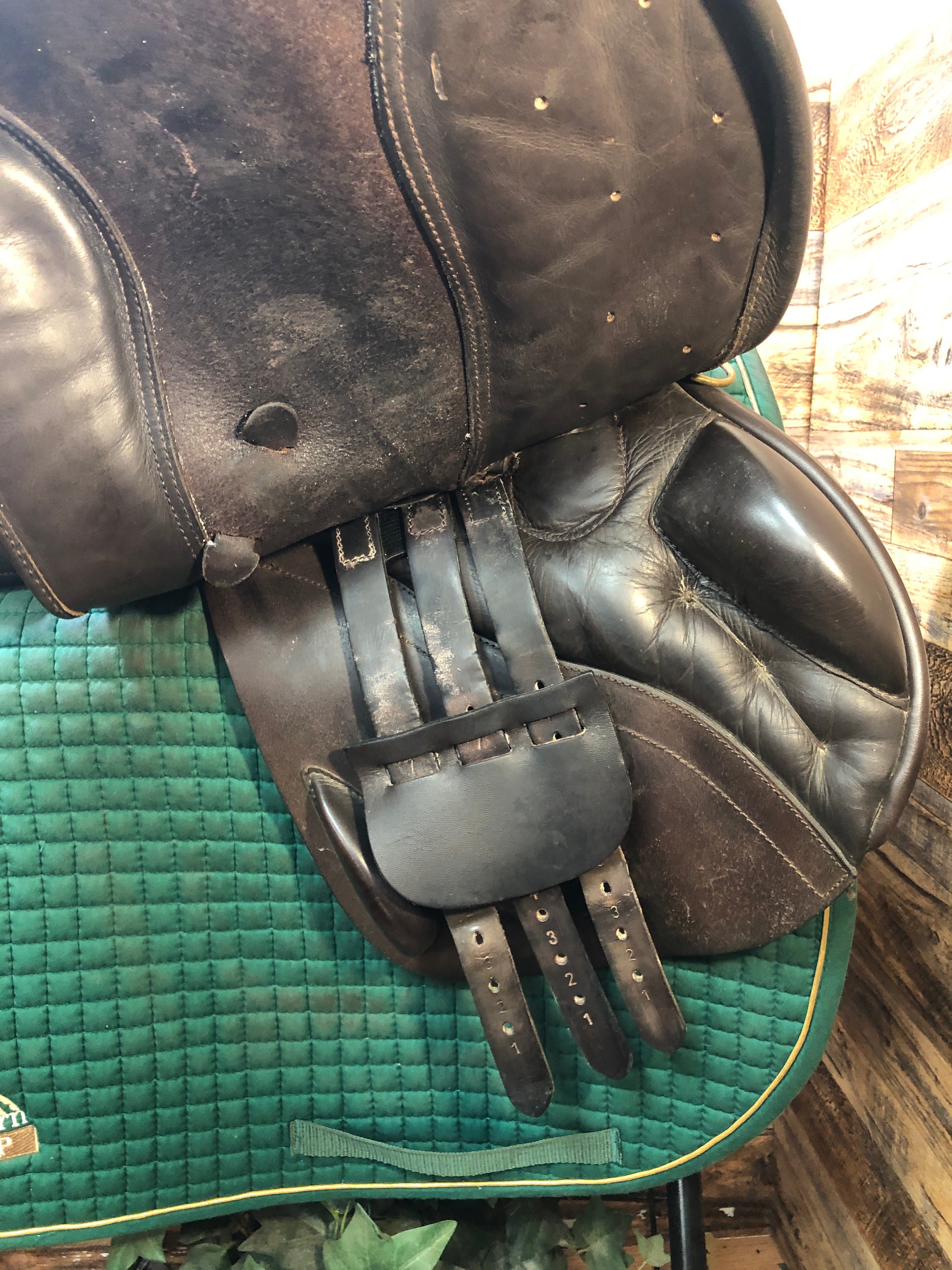 17.5" Detente Jump Saddle