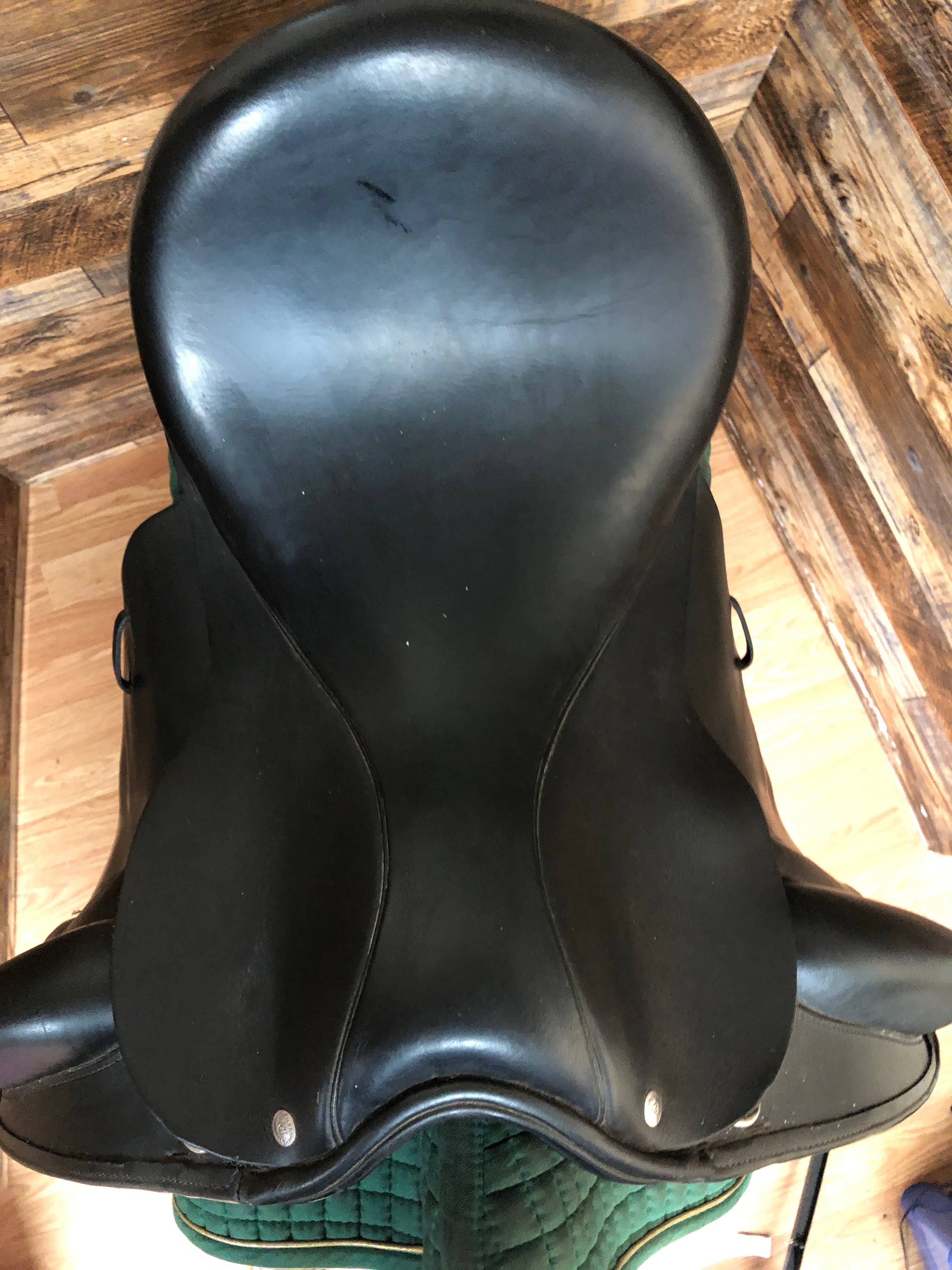 17.5" Custom Dressage Wolfgang Solo
