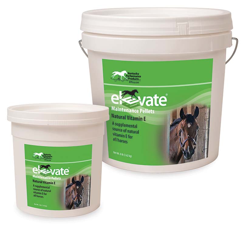 Elevate Maintenance Pellet - 3lb