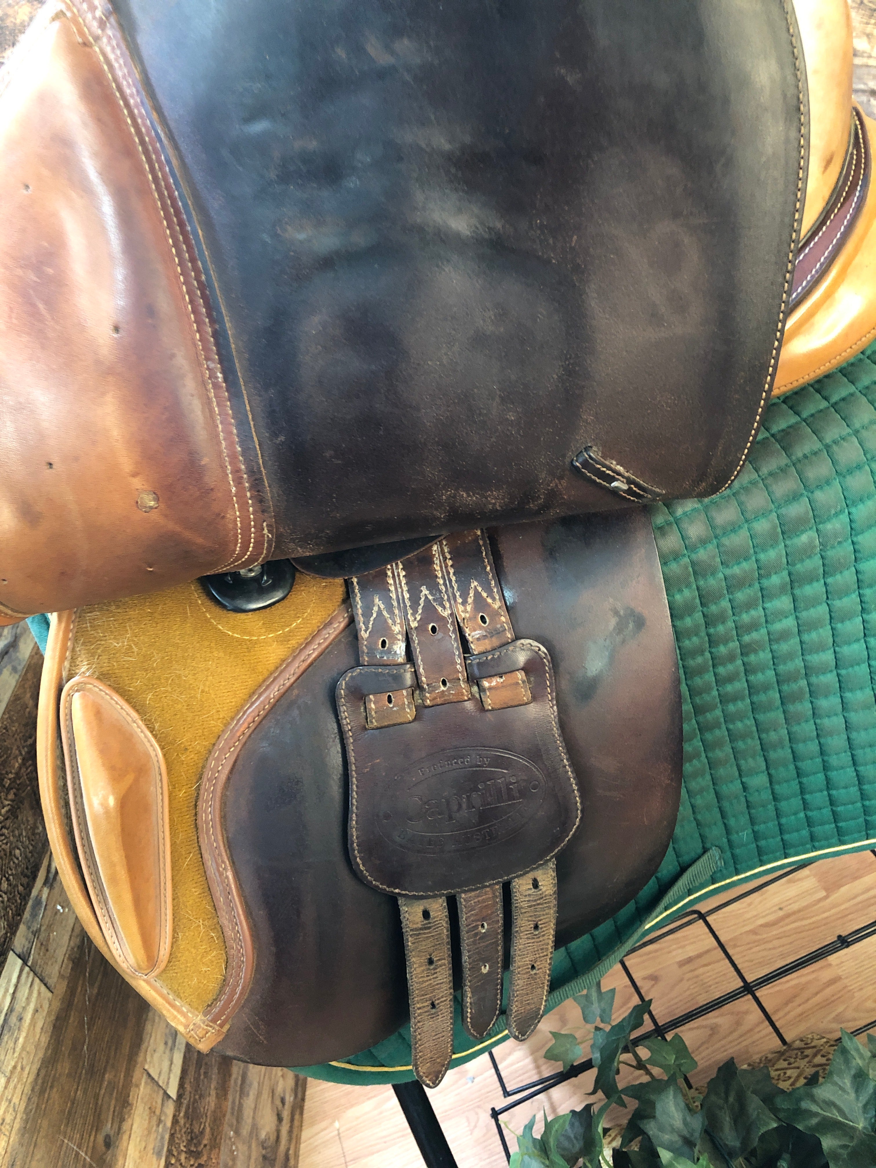 17" Bates Carilli Close Contact Saddle