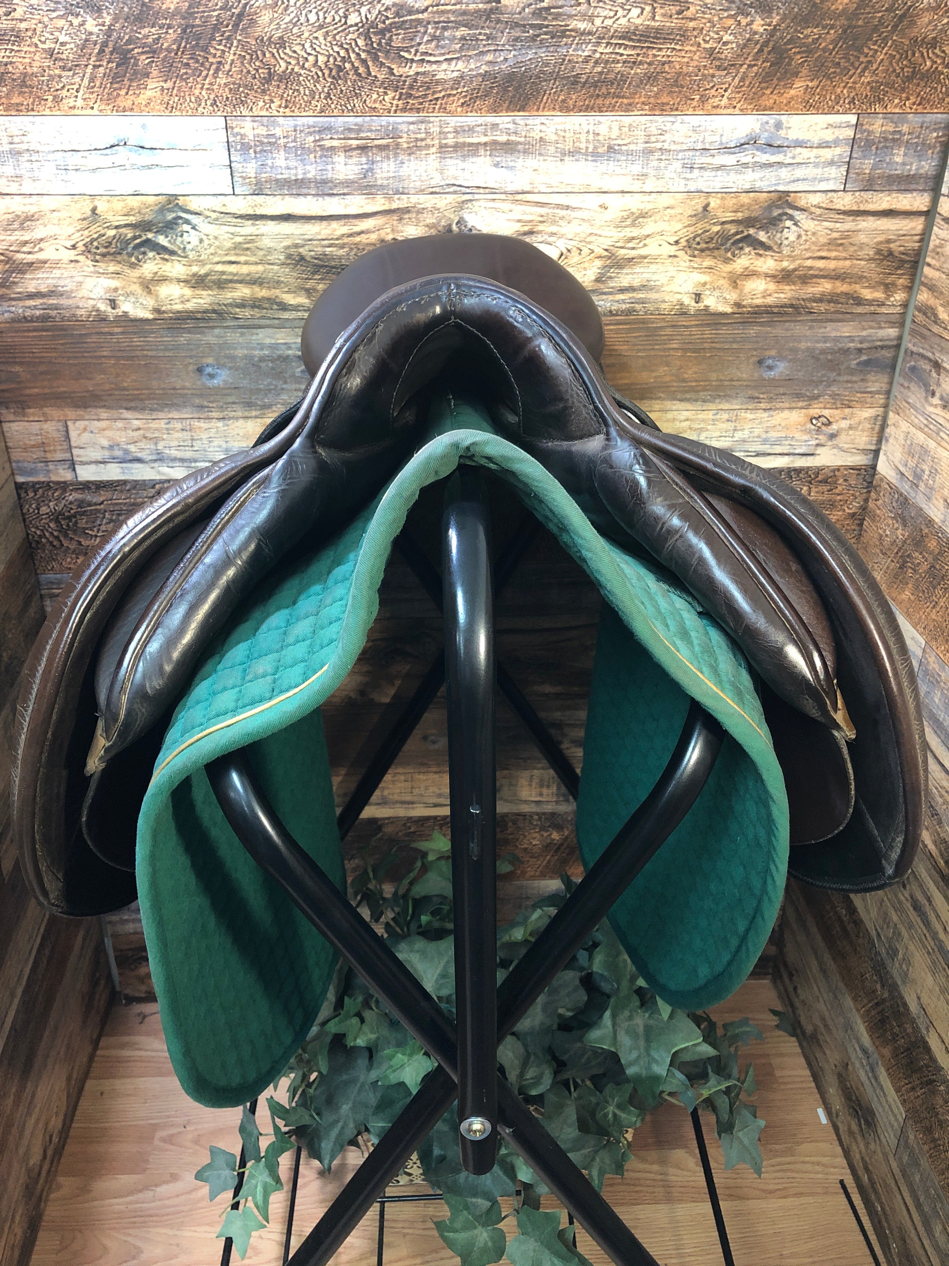 17"  Stubben Edelweiss Jump Saddle 6" tree/ 12.5" Flap-Wool