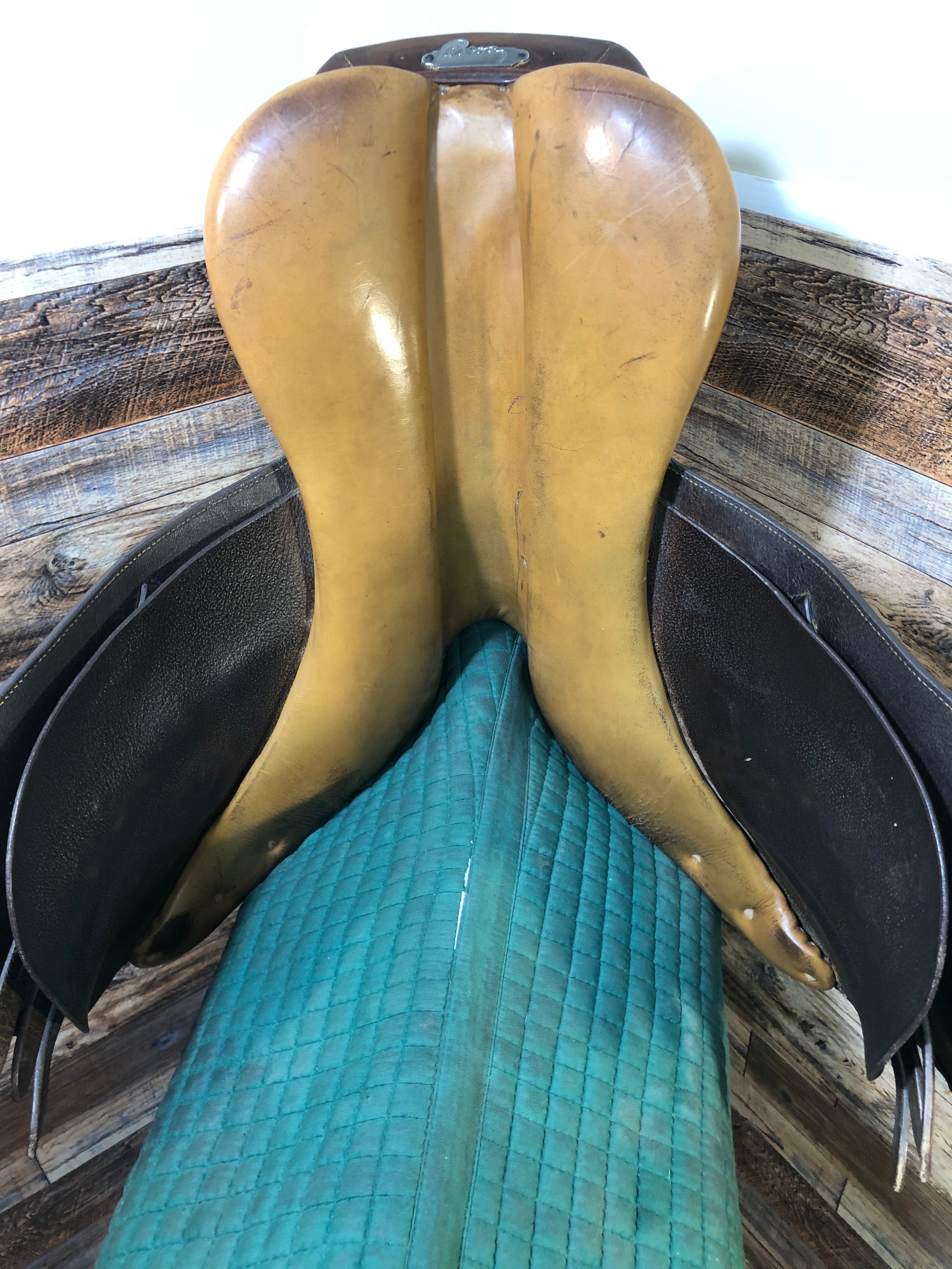 15 3/4" Pessoa Paris 3.5' tree/ 12 3/4" flap