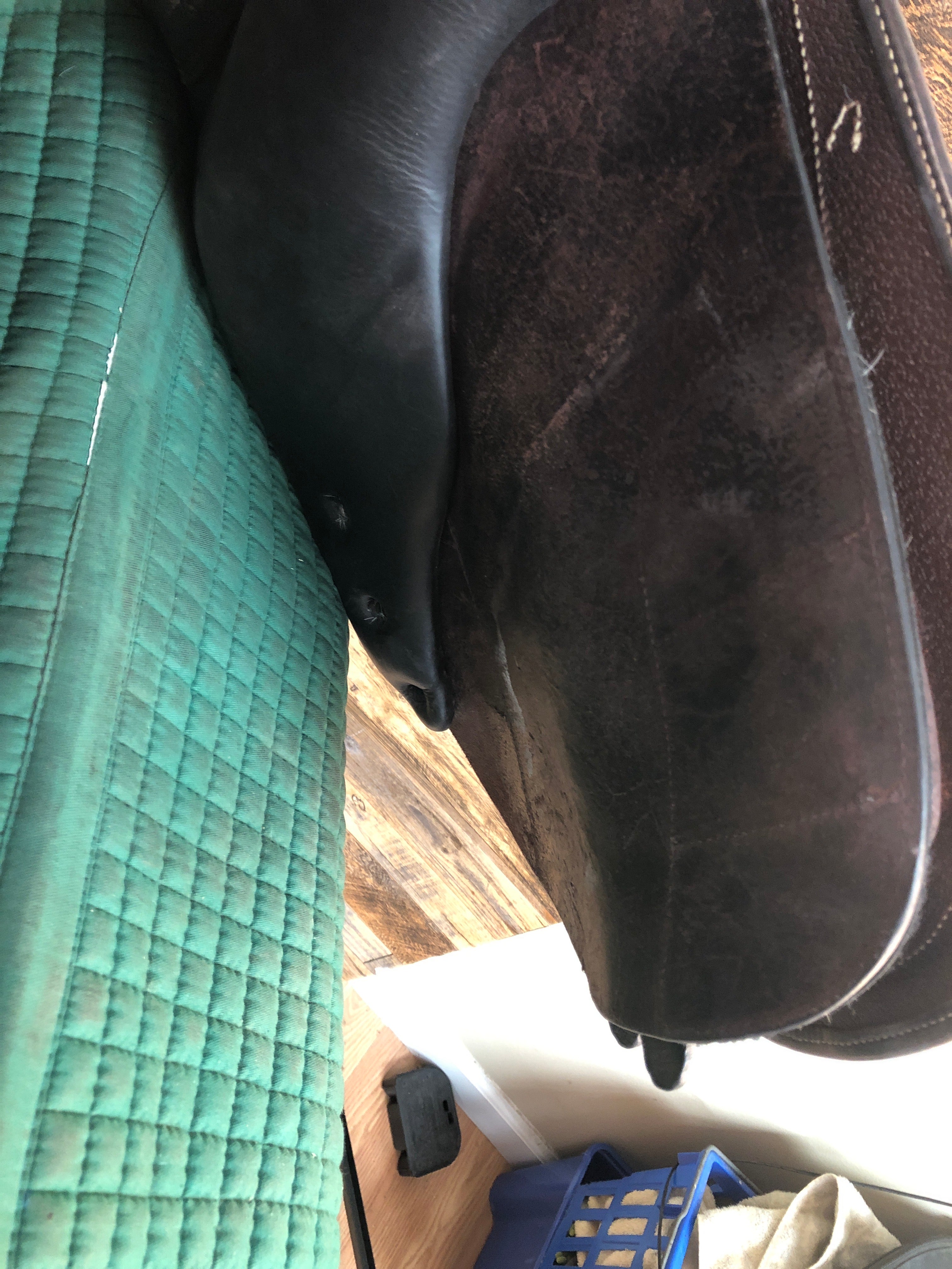 17.5" M Toulouse Brittany Platinum Genesis Saddle