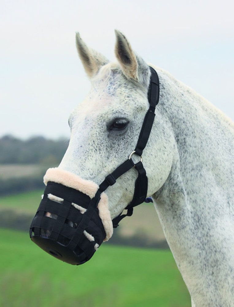 Deluxe Comfort Grazing Muzzle