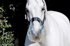 Thinline Grazzing Muzzle Cob/Horse