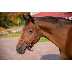 HDR Ergonomic Leather Rope Halter