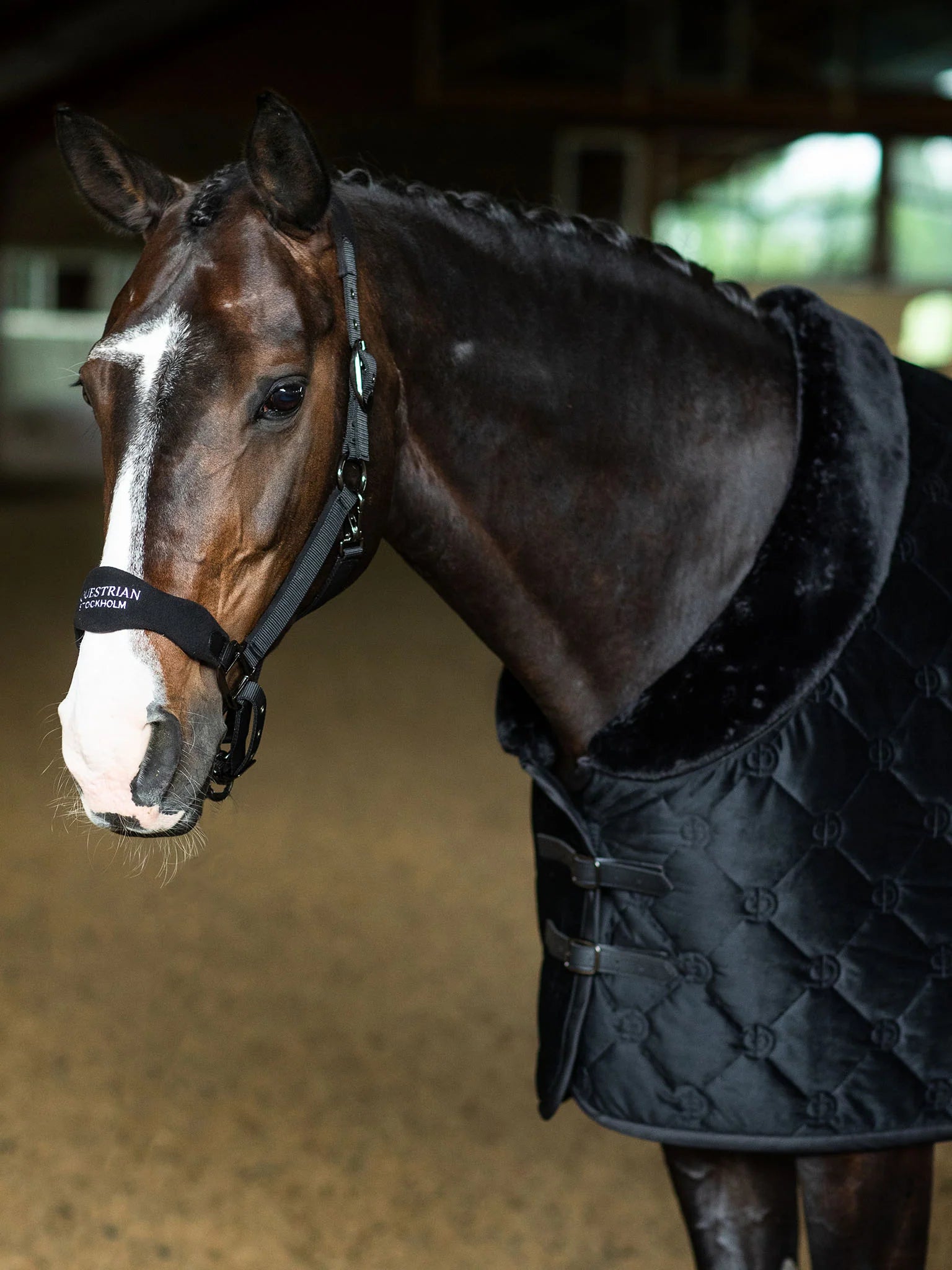 Anatomic Fleece Halter
