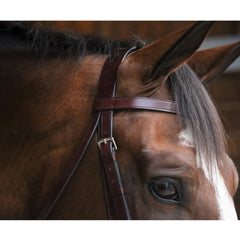 Black Oak FoxTrot Hunt Bridle