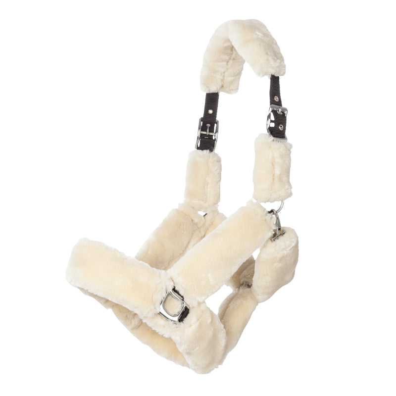 Kavalkade Traveling Halter