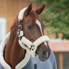 Kavalkade Traveling Halter