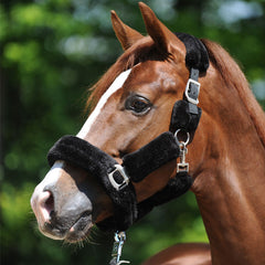 Kavalkade Traveling Halter