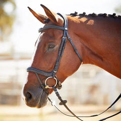 Kavalkade Ivy Plus Blk bridle
