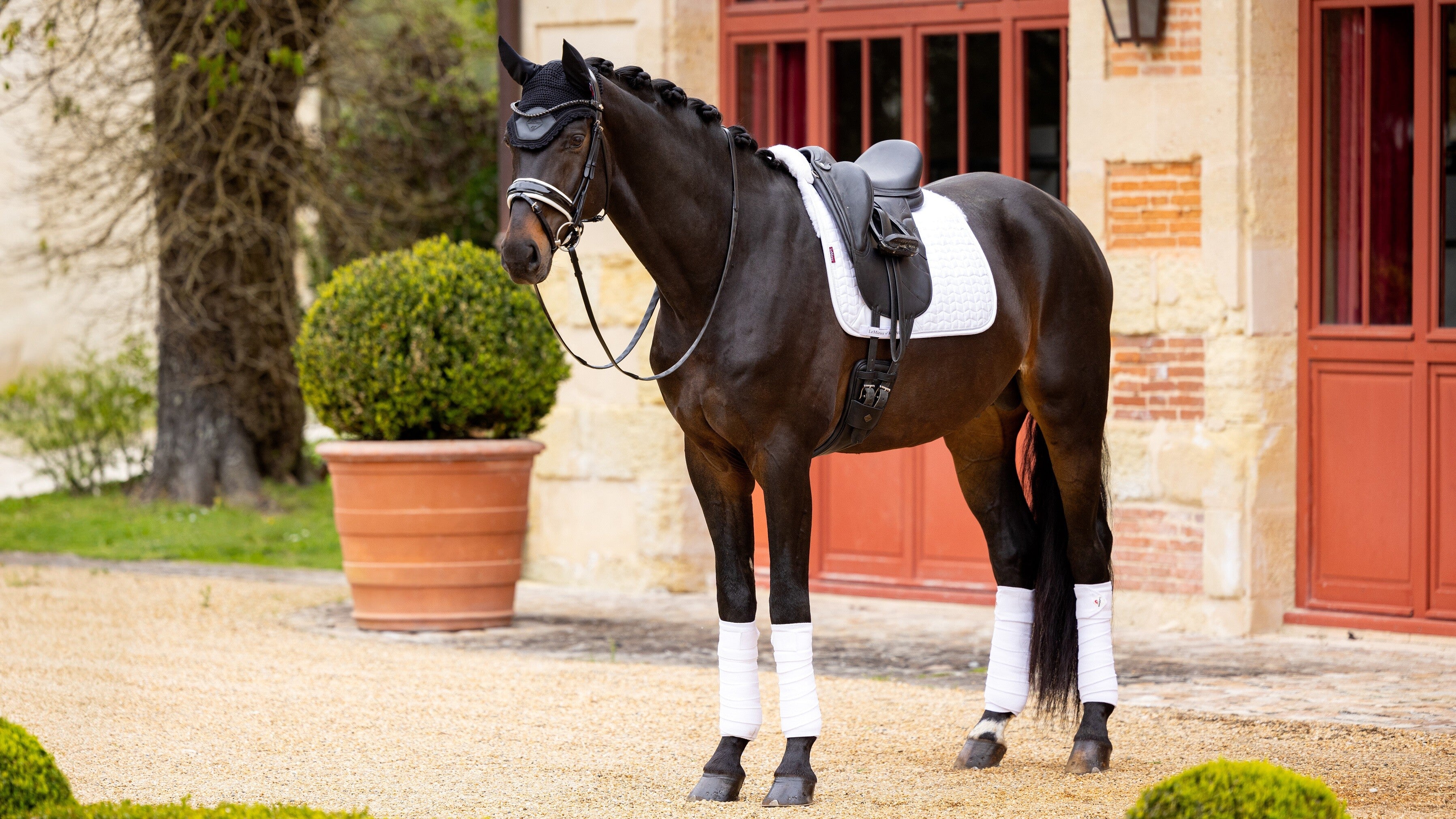 LeMieux Merino+ Half Lined Suede Dressage Square