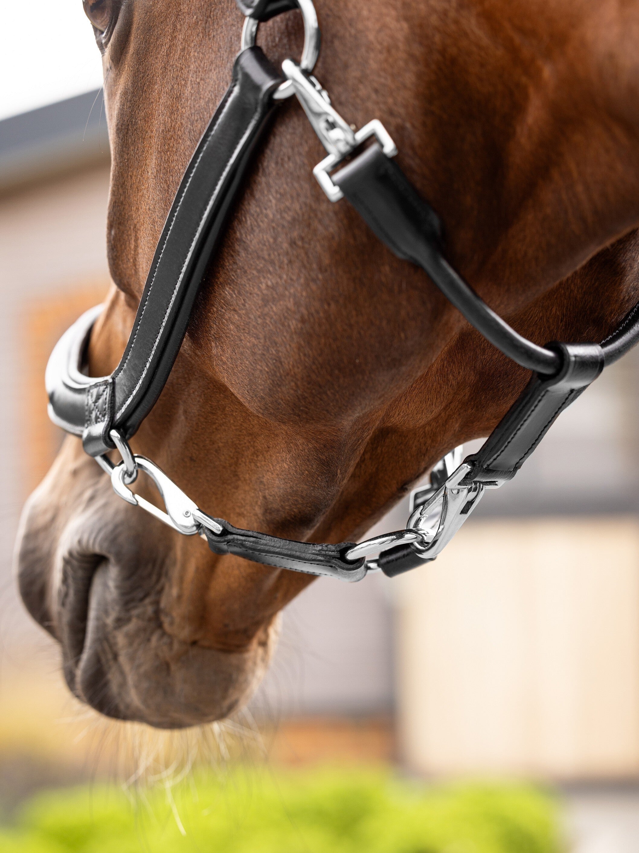 LeMieux Leather Grooming Headcollar