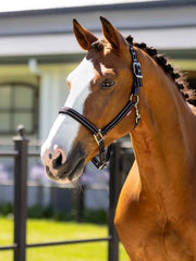 Essential Yard Headcollar