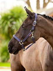 Essential Yard Headcollar