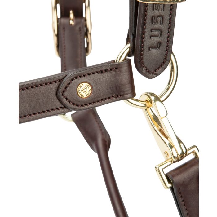 Velociti Soria Control Leather Headcollar
