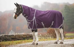 76" Boreas Purple Turnout Blanket 1200