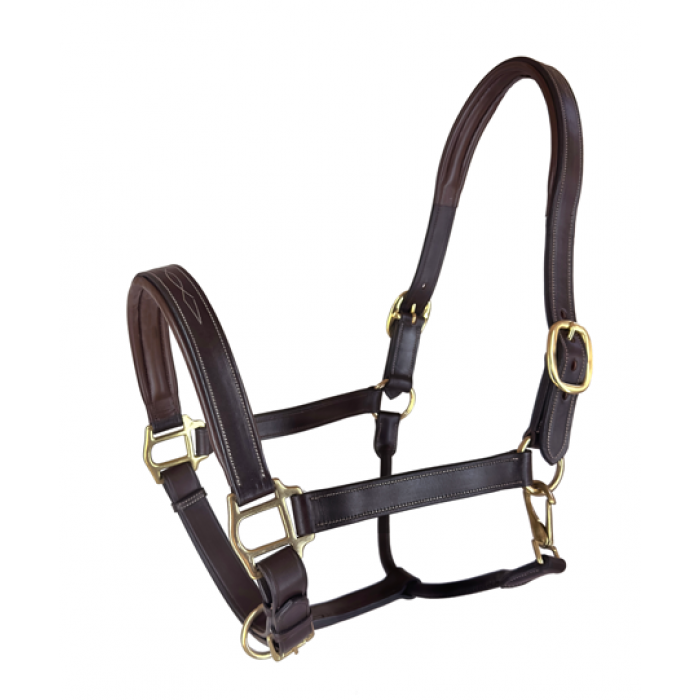 Royal Highness Padded Leather Halter