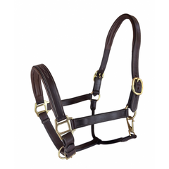 Royal Highness Padded Leather Halter