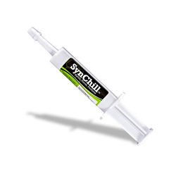 SynChill - Confidence Gel