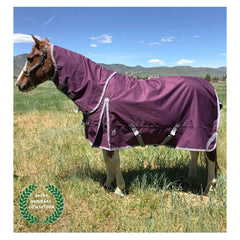 78" Boreas Purple Turnout Blanket 1200