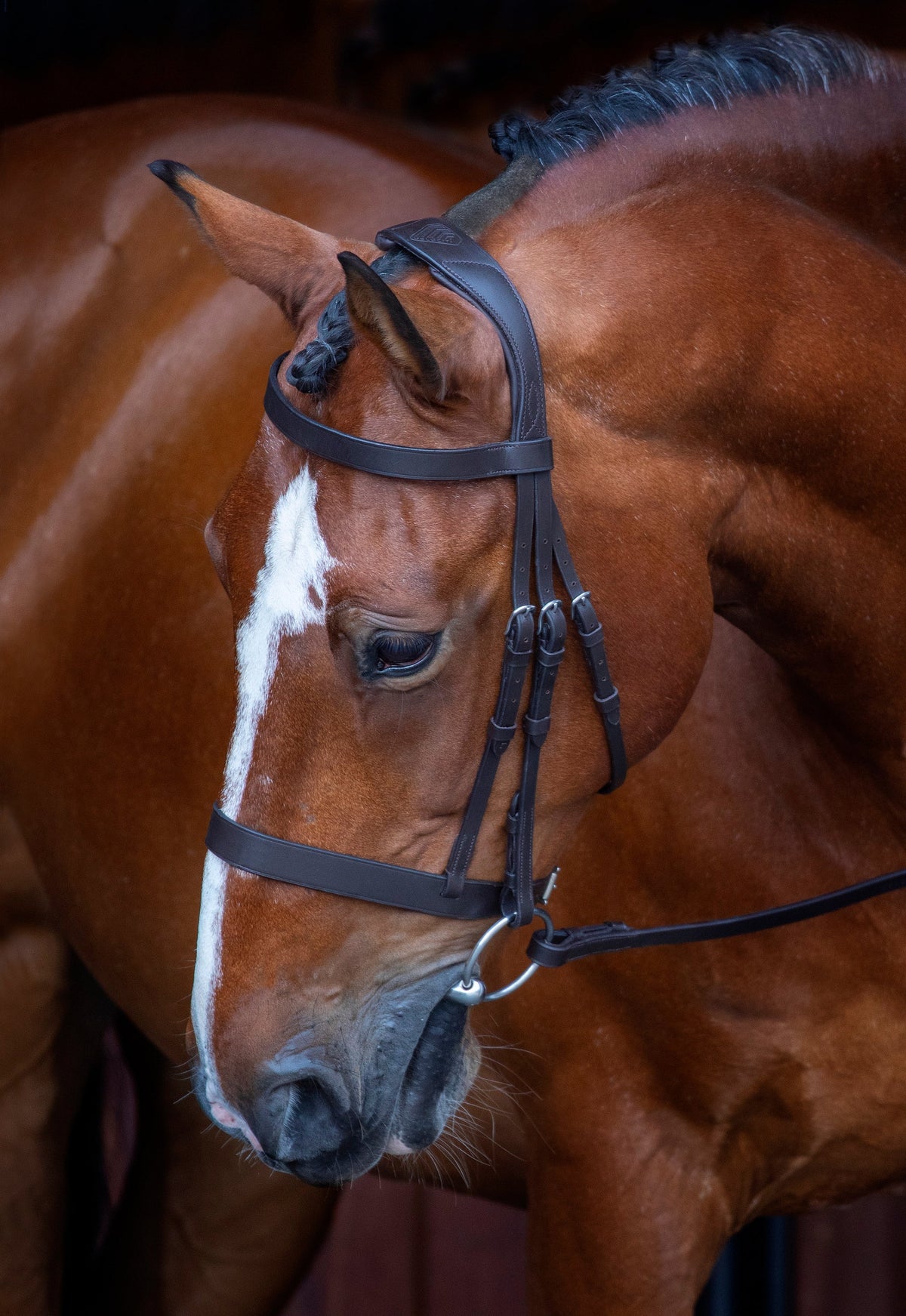 Velociti Hunter Bridle