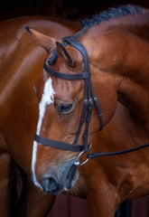Velociti Hunter Bridle