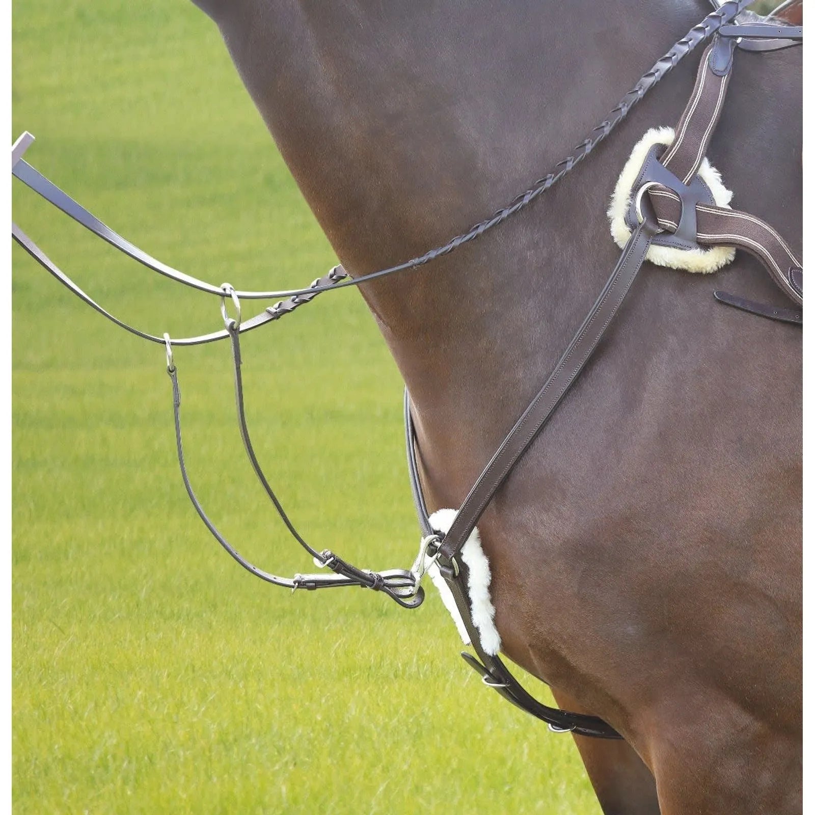 Avignon 5 Point Breastplate