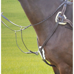 Avignon 5 Point Breastplate