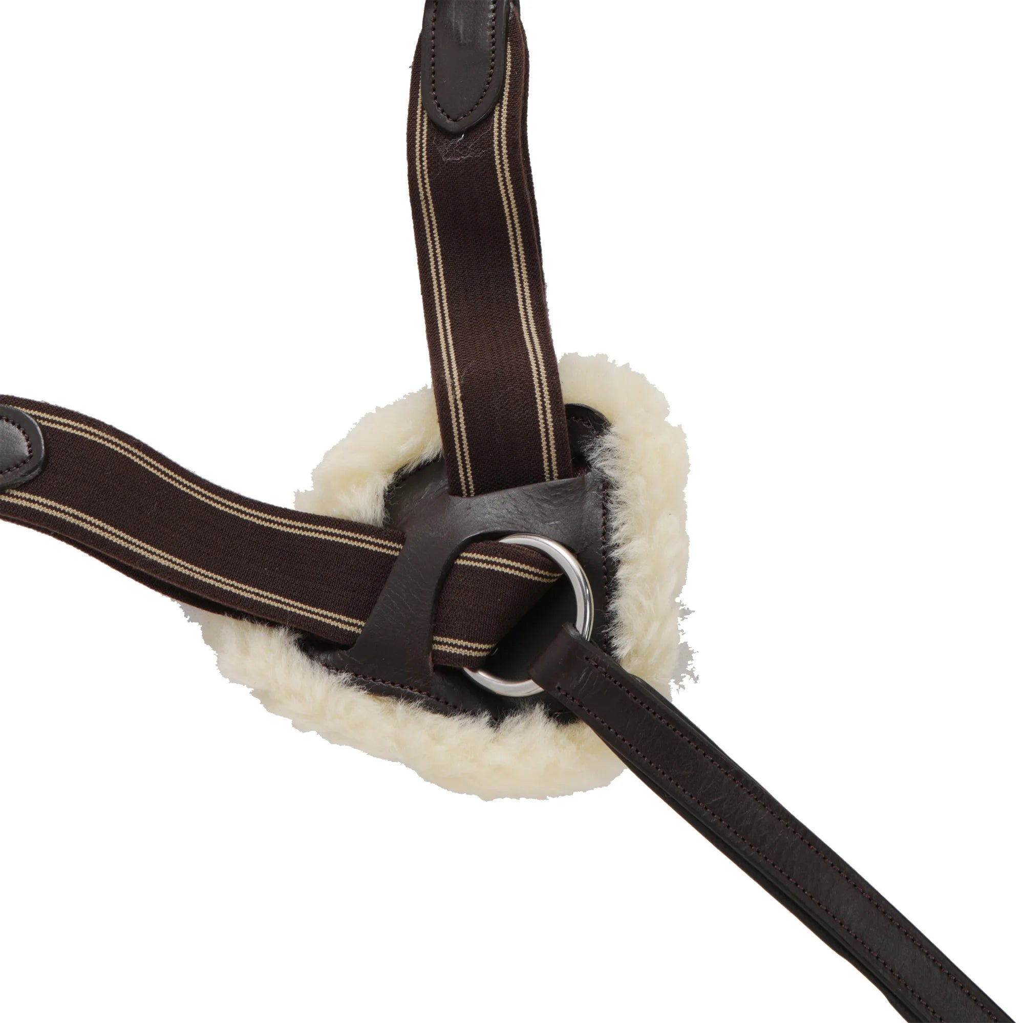 Avignon 5 Point Breastplate