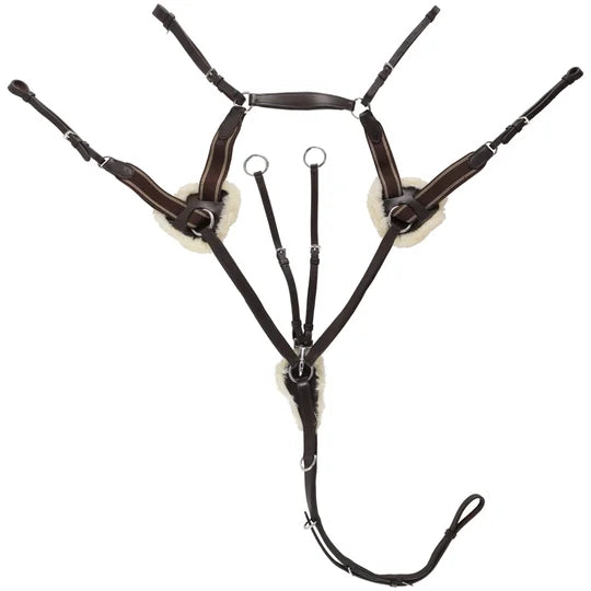 Avignon 5 Point Breastplate