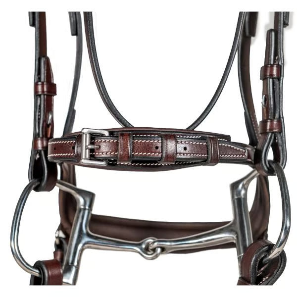 Betris Bridle Horse