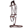 Betris Bridle Horse