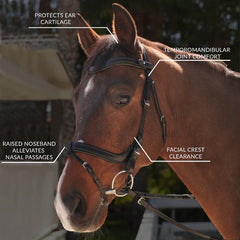Better Bridle - Total Saddle Fit