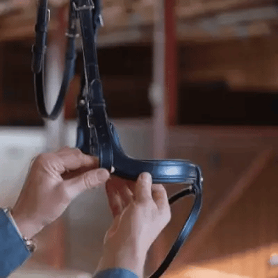 Better Bridle - Total Saddle Fit