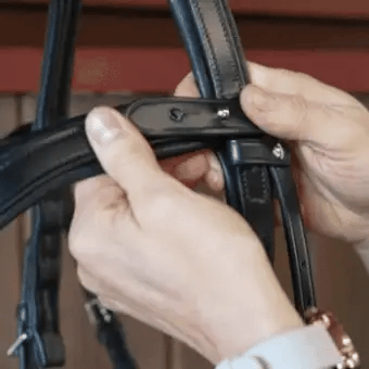 Better Bridle - Total Saddle Fit