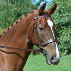 Black Oak FoxTrot Hunt Bridle