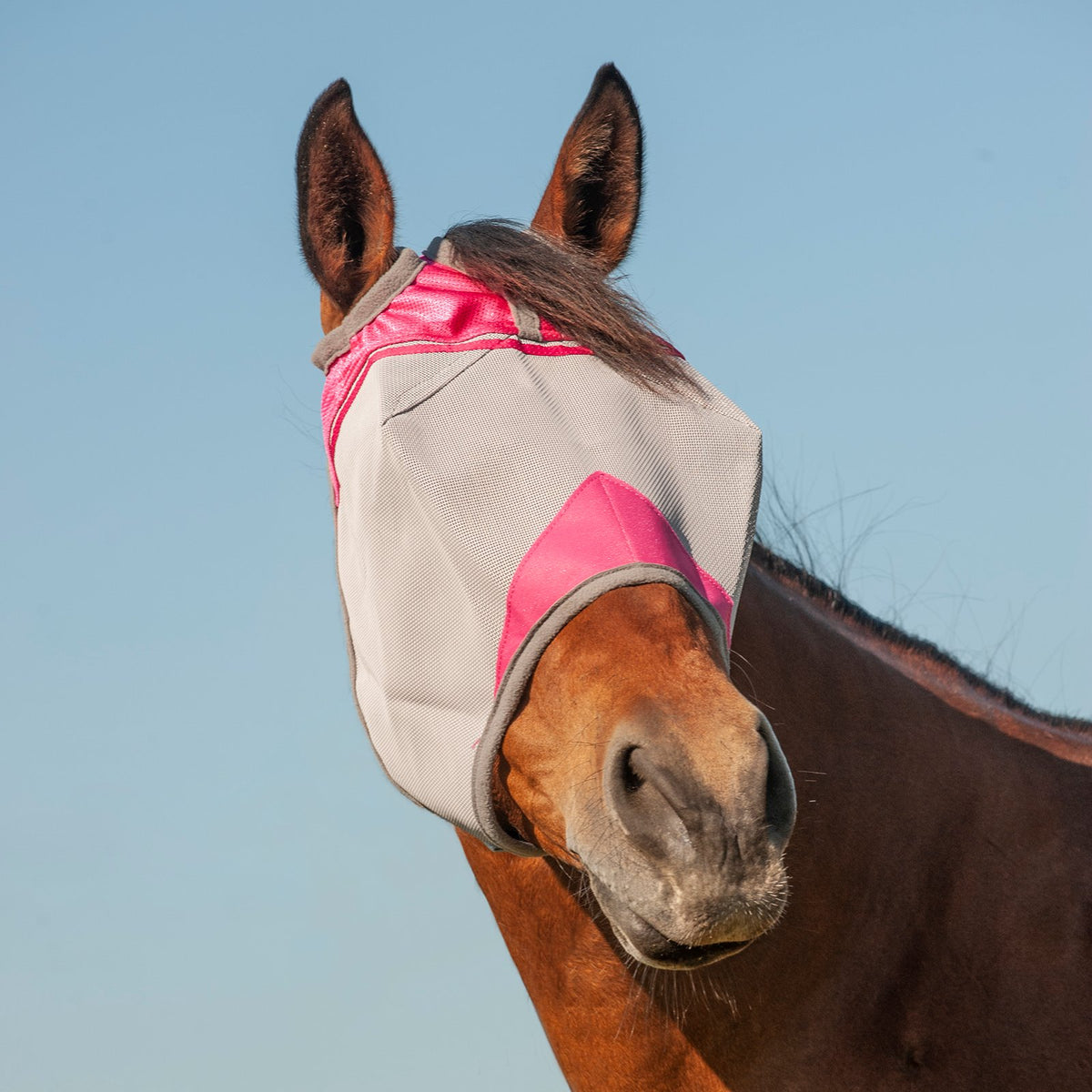 Cashel Crusader Fly Mask