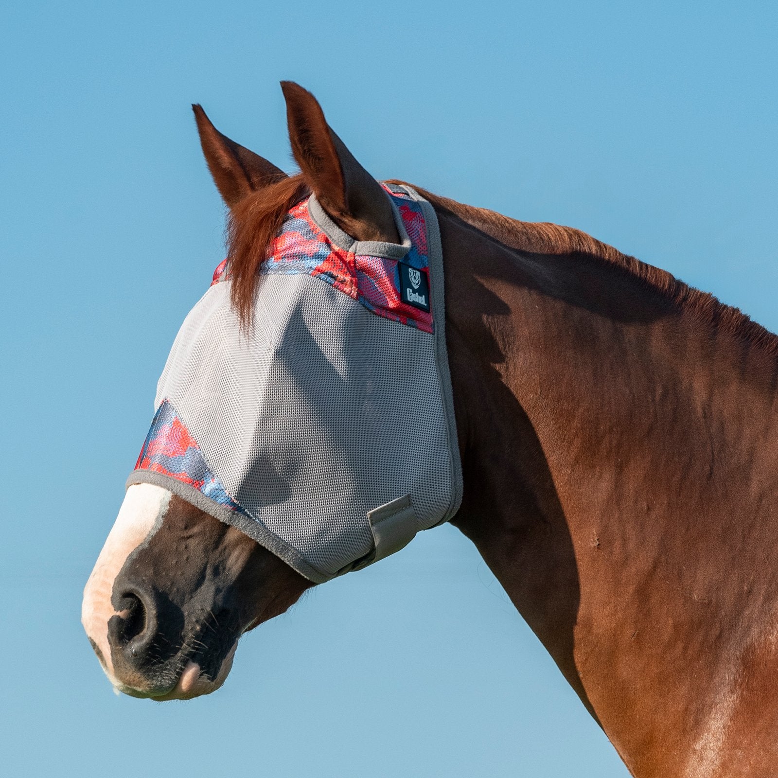 Cashel Crusader Fly Mask