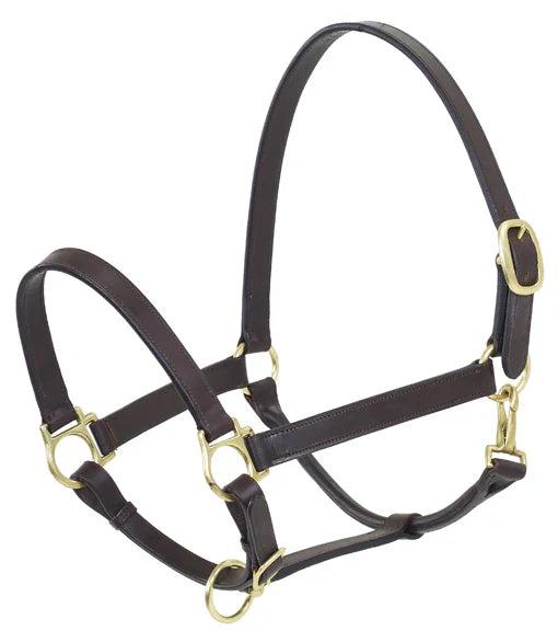Leather Stable Halter