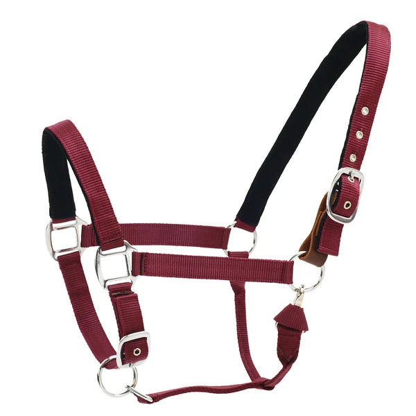 Centaur Web Breakaway Halter