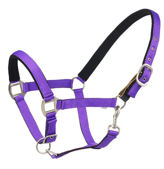 Centaur Web Breakaway Halter